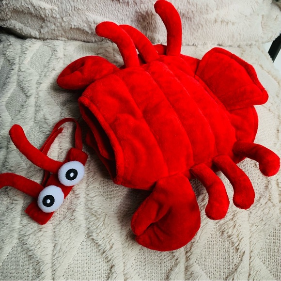 Thrills and chills Guinea lobster crawfish 2 pc costume with hat. GUC - Picture 2 of 9